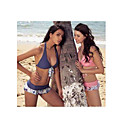 Two Piece Set Halter Top with Scoop Bottoms Swimwear 2846 (LYU001)