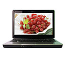 laptop-HASEE 14,0 core "levou-Intel Core 2 (Penryn) T6600 1GB DDR2-2.2g-250g-ATI HD 4530-webcam dvdrw (smq3813)