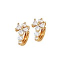 Beautiful 18K Gold Plated CZ Cubic Zirconia Earrings (0292-91031-29)
