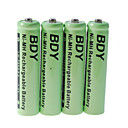 BDY 750mAh Ni-MH AAA oplaadbare batterijen (4-pack)