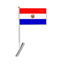 Car Durable Knit Polyester Paraguay National Flag