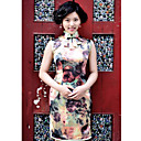 Mantel / Spalte Stehkragen ärmellose knielangen shusu / Seide Habotai cheongsam / Qipao / chinesisches Kleid (hgqp318)