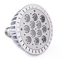 E27 PAR46 12W 1000LM 3000-3500K Warm White Light LED Spot Bulb (85-265V)