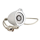 IR Waterproof Bullet Camera with 1/3 Inch Sony CCD (420TVL)