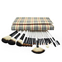 Professional Brush Set With Dark Lovely Pouch(20 Pcs)