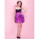 A-line Sweetheart Short / Mini Organza Lace Cocktail Dress