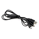 2-in-1 USB Charging Cable for Nintendo DSi, DSi XL and 3DS (Black)