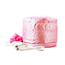 220V  Temperature Controlled Househould Electric Hairstyling Cap
