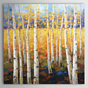 Hand-painted Landscape Oil Painting with Stretched Frame 24" x 24"
