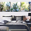 Stretched Canvas Print Botanical Floral Set of 3 1301-0148