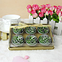 Lovely Flower Shaped Candle Favor (Set of 6 Pieces)