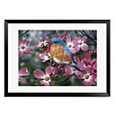 Framed Art Print Floral Bluebird/Pink Dogwood by William Vanderdasson