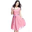 Women's Belted Pleated Dress