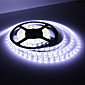 Waterbestendig LED-Striplamp Met AC-Adapter (100-240V)