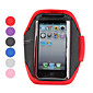 Gym Sport Armband Case for iPhone 5 (Assorted Colors)